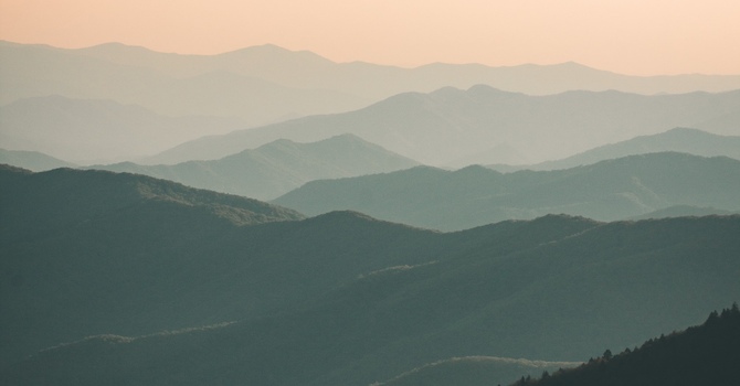 The Role of Nutrition in ADHD Management: How a Healthy Diet Can Help Manage Symptoms