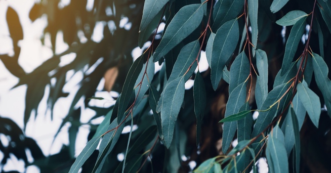 ADHD and Sleep: How to Improve Your Restful Nights