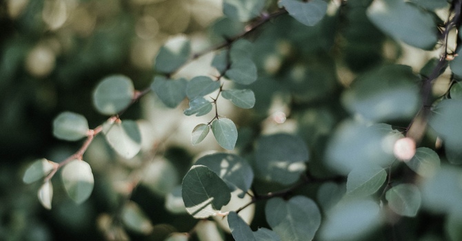 ADHD and Sleep: How to Improve Your Restful Nights